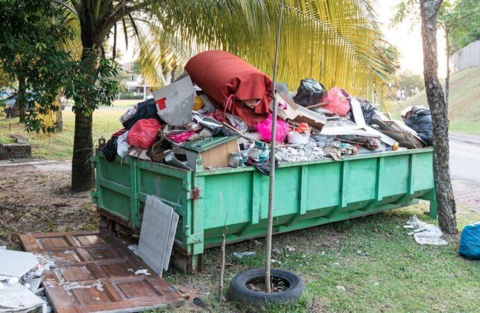 Mangonia Park-Dear Junk