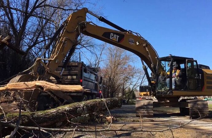 Rubbish and Debris Removal, Dear Junk