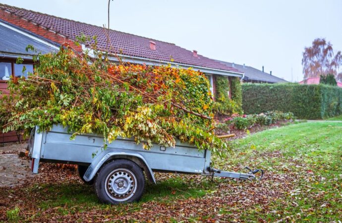 Yard Waste Removal, Dear Junk